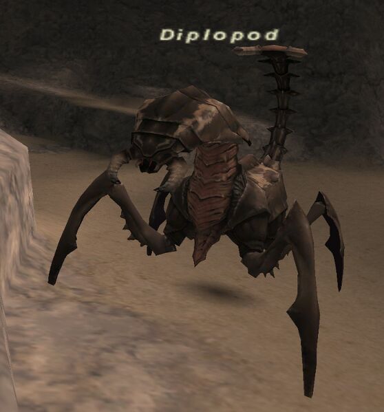 File:Diplopod.jpg