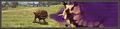 Thumbnail for version as of 21:35, 29 August 2026