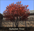 Thumbnail for version as of 21:44, 29 August 2026