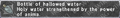 Thumbnail for version as of 21:32, 29 August 2026