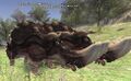Thumbnail for version as of 21:10, 29 August 2026
