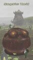 Thumbnail for version as of 22:51, 29 August 2026