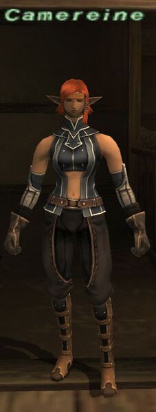 File:Camereine.jpg