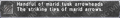 Thumbnail for version as of 21:38, 29 August 2026