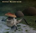 Thumbnail for version as of 21:22, 29 August 2026