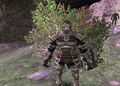 Thumbnail for version as of 21:02, 29 August 2026
