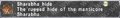 Thumbnail for version as of 23:52, 29 August 2026