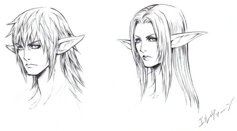 File:Elvaan Facial Sketches.png