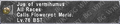 Thumbnail for version as of 22:34, 29 August 2026
