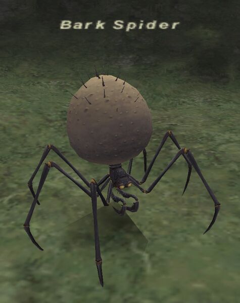 File:Bark Spider.jpg