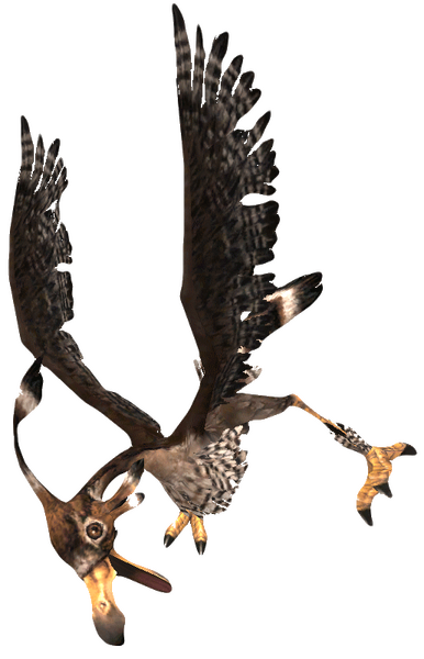 File:Lesser Bird 2.png