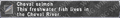 Thumbnail for version as of 23:09, 29 August 2026