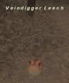Thumbnail for version as of 23:07, 29 August 2026