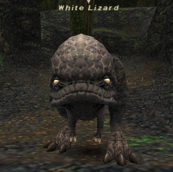 File:White Lizard.jpg