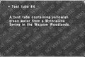 Thumbnail for version as of 21:03, 29 August 2026