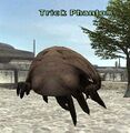 Thumbnail for version as of 22:46, 29 August 2026