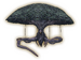 Wopket
