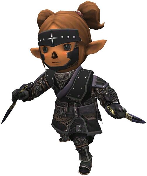 File:Ninja's Garb Set.jpg