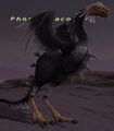 Thumbnail for version as of 22:50, 29 August 2026