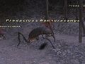 Thumbnail for version as of 21:57, 29 August 2026