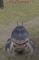 Thumbnail for version as of 22:00, 29 August 2026
