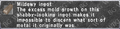 Thumbnail for version as of 22:27, 29 August 2026