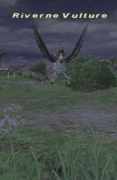 File:Riverne vulture.jpg