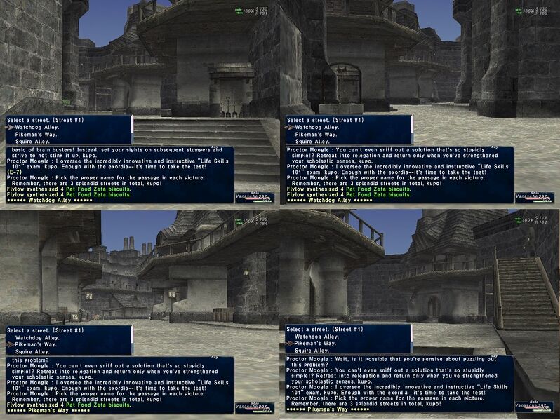 File:SandyLifeSkills101 1.jpg