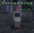 Thumbnail for version as of 22:55, 29 August 2026