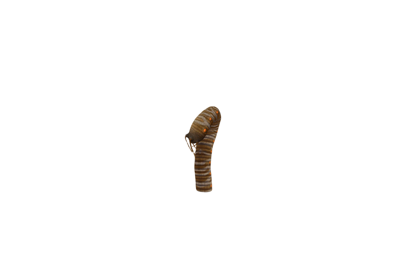 File:Worm 1.png