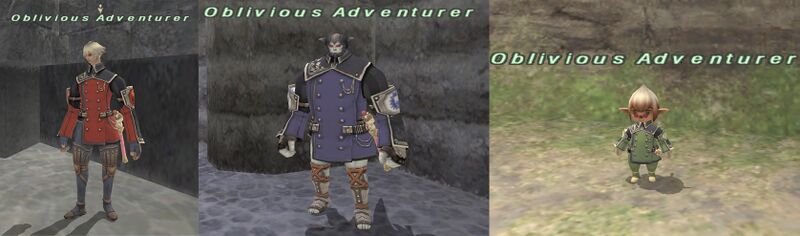 File:Oblivious Adventurer.jpg