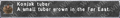Thumbnail for version as of 23:16, 29 August 2026