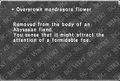 Thumbnail for version as of 22:17, 29 August 2026