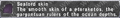 Thumbnail for version as of 22:19, 29 August 2026