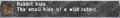 Thumbnail for version as of 23:34, 29 August 2026
