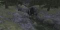 Thumbnail for version as of 22:55, 29 August 2026
