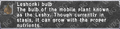Thumbnail for version as of 23:23, 29 August 2026