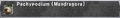Thumbnail for version as of 22:54, 29 August 2026