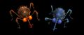Thumbnail for version as of 23:38, 29 August 2026