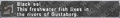 Thumbnail for version as of 22:56, 29 August 2026
