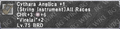Thumbnail for version as of 23:13, 29 August 2026