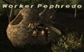 Thumbnail for version as of 22:00, 29 August 2026