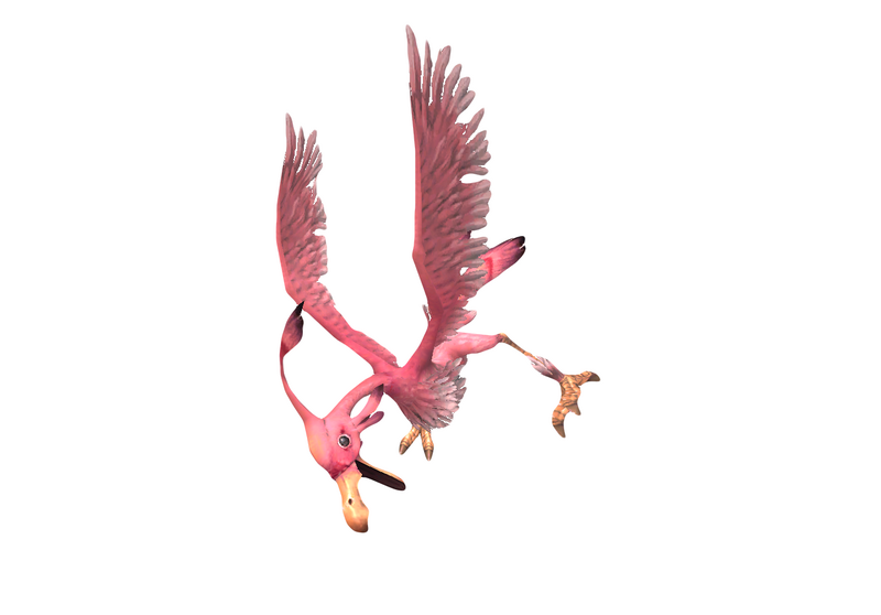 File:Lesser Bird 1.png