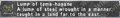 Thumbnail for version as of 22:40, 29 August 2026