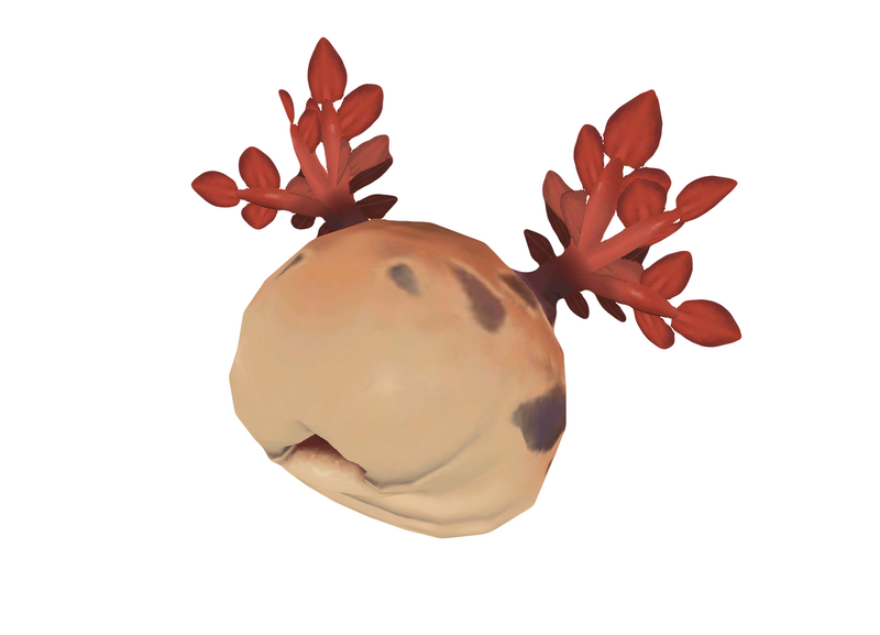 File:Leech 1.png