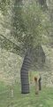 Thumbnail for version as of 23:50, 29 August 2026