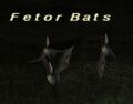 Thumbnail for version as of 22:51, 29 August 2026