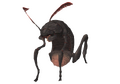 Thumbnail for version as of 23:06, 29 August 2026