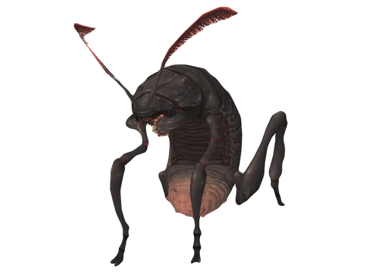 File:Wamouracampa 1.png