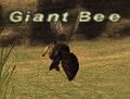 Thumbnail for version as of 22:34, 29 August 2026